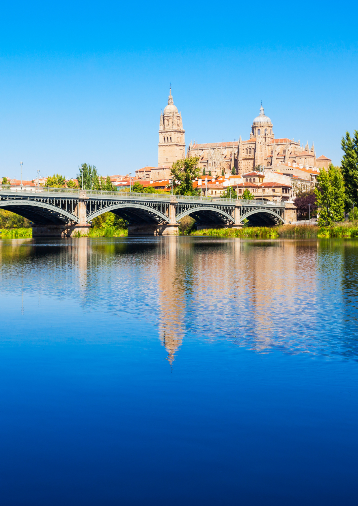 Vista del Rio Tormes y la Catedral de Salamanca